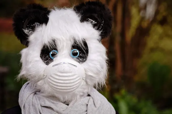 Kasino Fairground Slots Sokongan